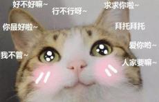 奪命撒嬌八連是哪幾句，使用前先做好儀表管理(女生都很難抗住)